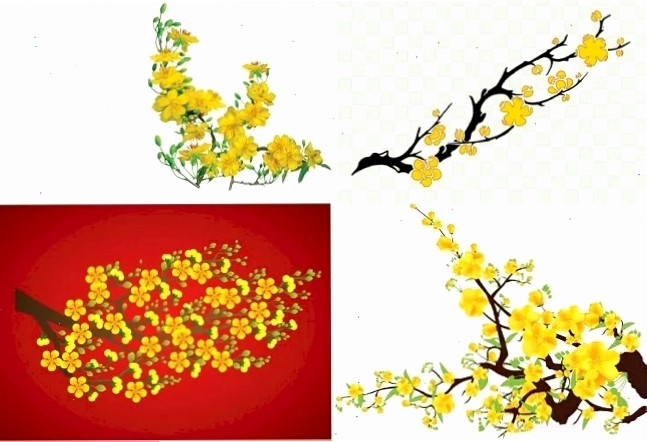 ảnh cành mai