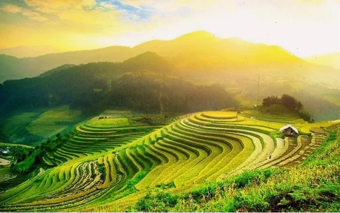 anh ruong bac thang sapa xanh mướt nhìn từ trên cao