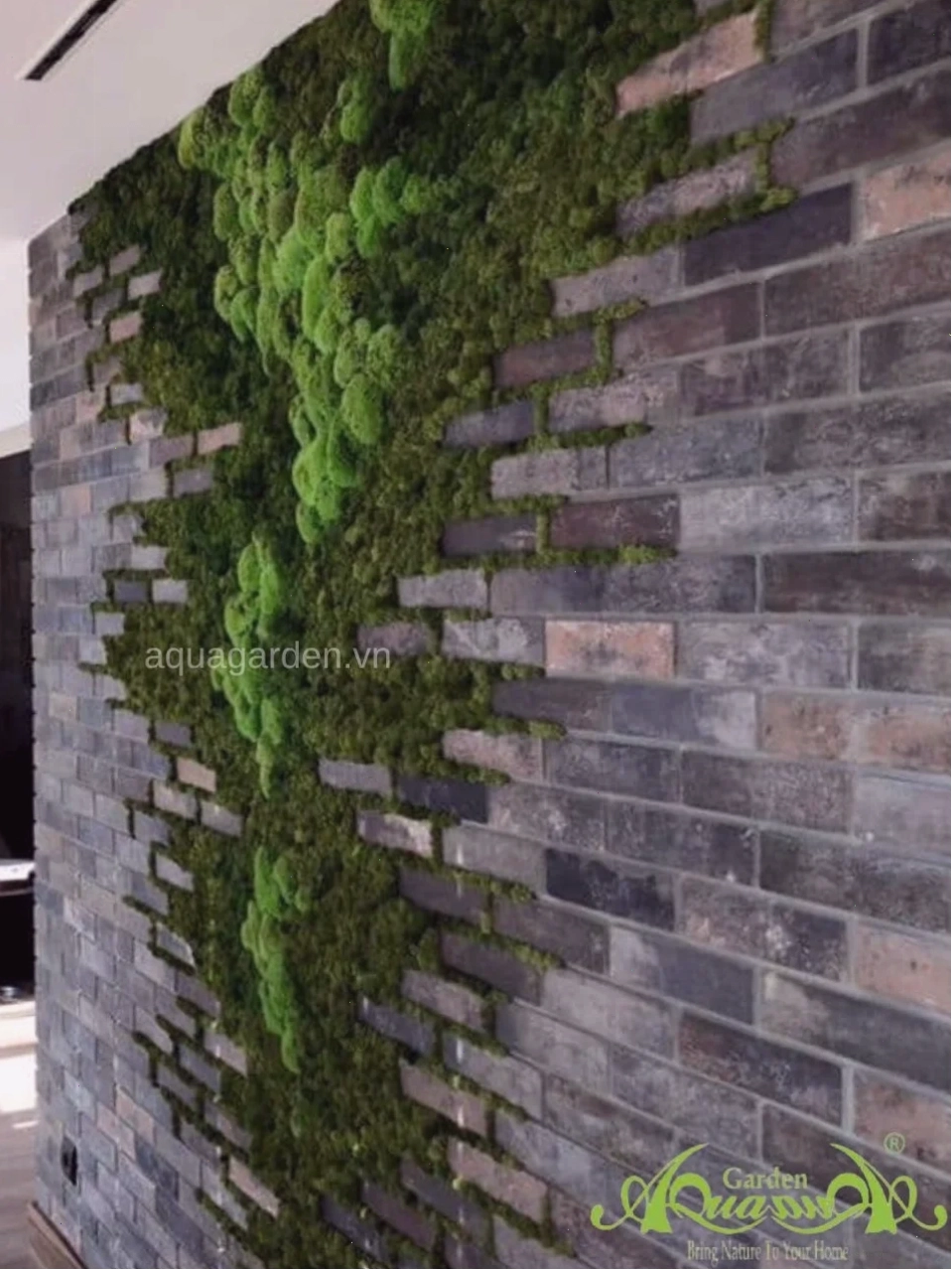 Background tường rêu phong trên tường gạch cũ