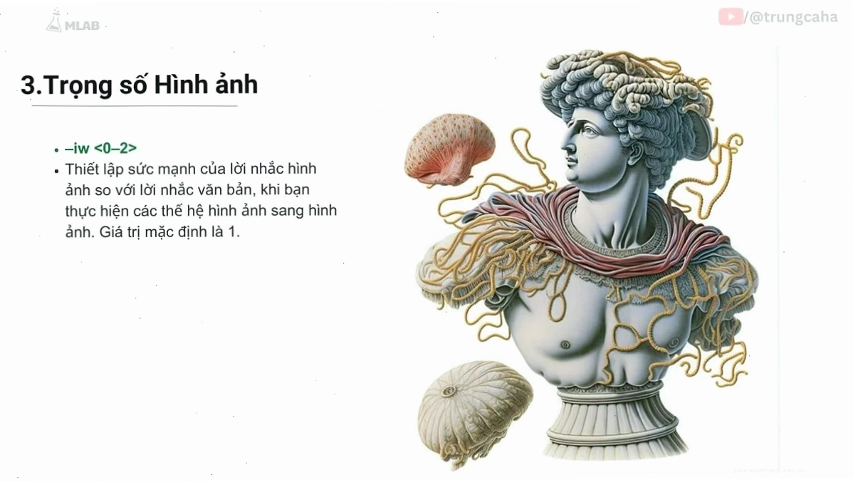 So sánh --w và --c trong Midjourney Bảng so sánh tham số Weird và Chaos
