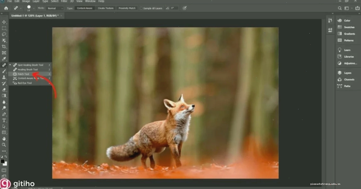 Sử dụng Patch Tool để vá ảnh Cách xóa vật thể trong Photoshop bằng Patch Tool (1)