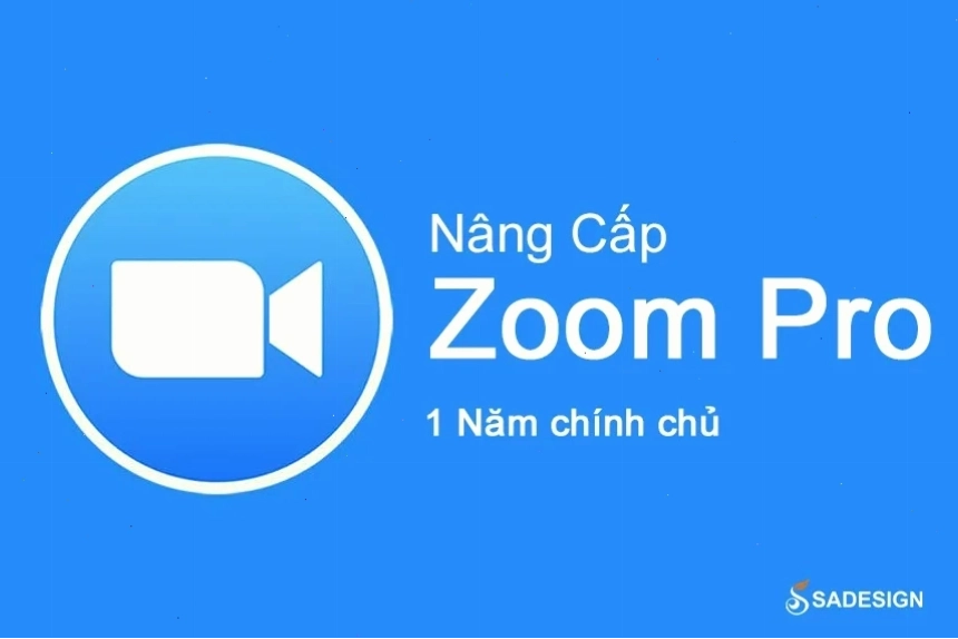 Cận cảnh chiếc lá khô với gân lá chi tiết dưới ánh sáng mùa thu