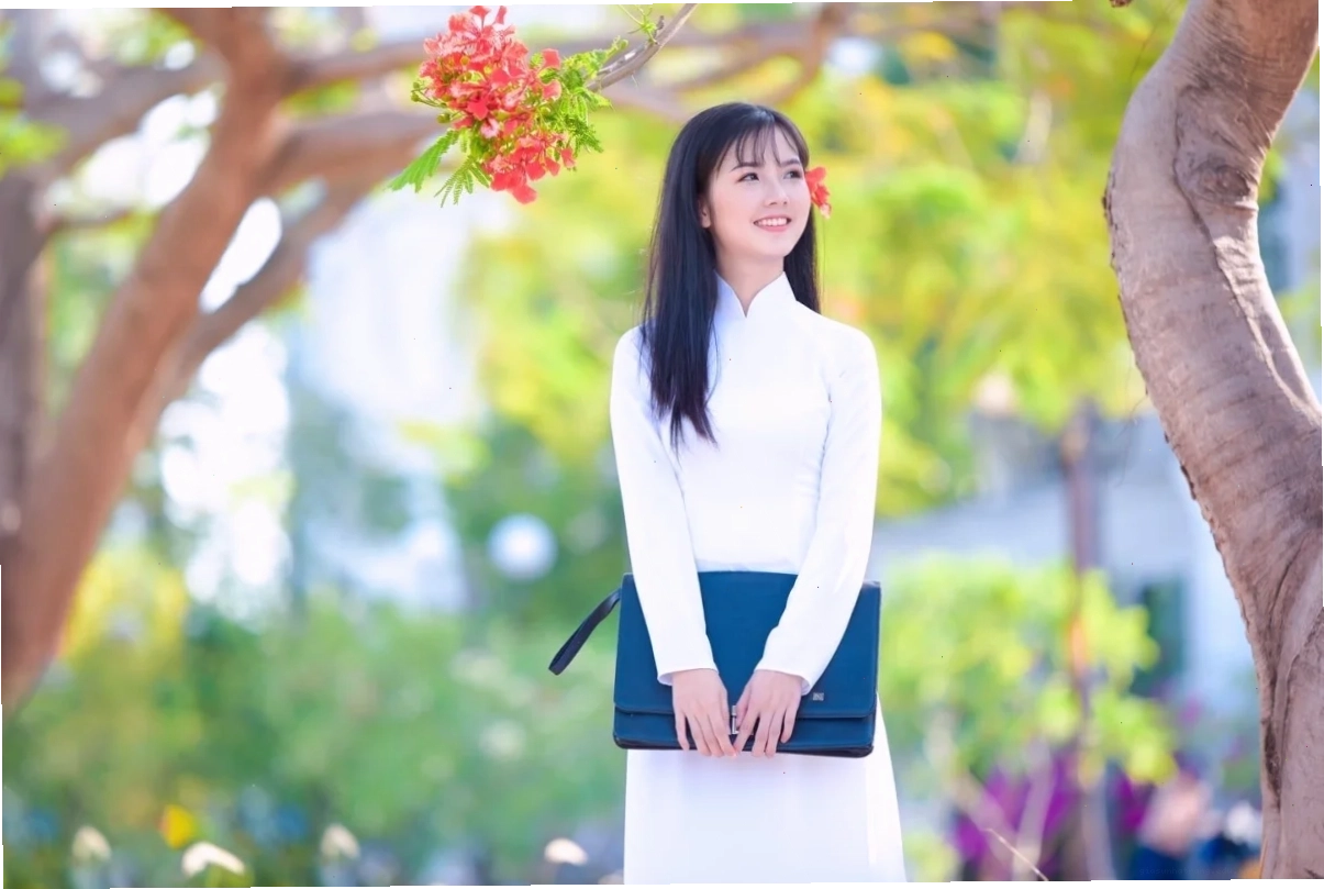 Nữ sinh duyên dáng bên hoa phượng Cô gái mặc áo dài trắng bên hoa phượng