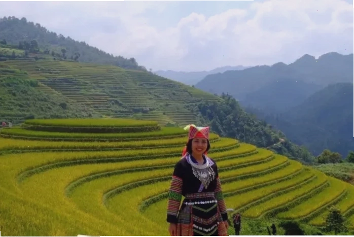Đồi Mâm Xôi La Pán Tẩn với ruộng bậc thang vàng rực