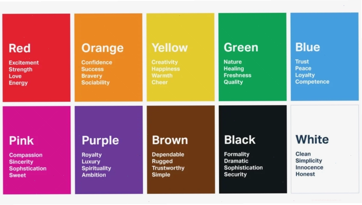 Dùng Canva Brand Hub đồng bộ màu sắc thương hiệu giúp xây dựng hình ảnh nhất quán
