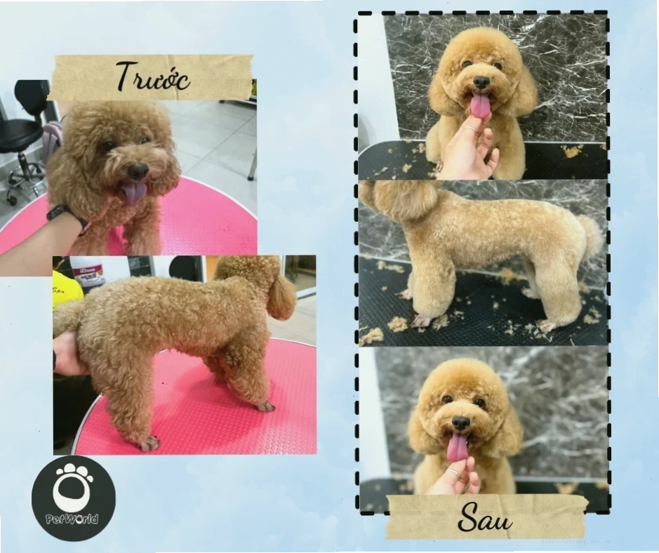 Hình ảnh trước và sau khi tạo kiểu summer cut