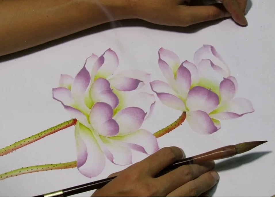 Họa tiết hoa sen màu nước tinh tế