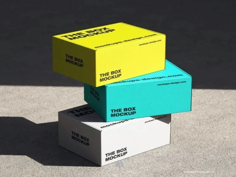 Mockup hộp giấy carton đa dụng