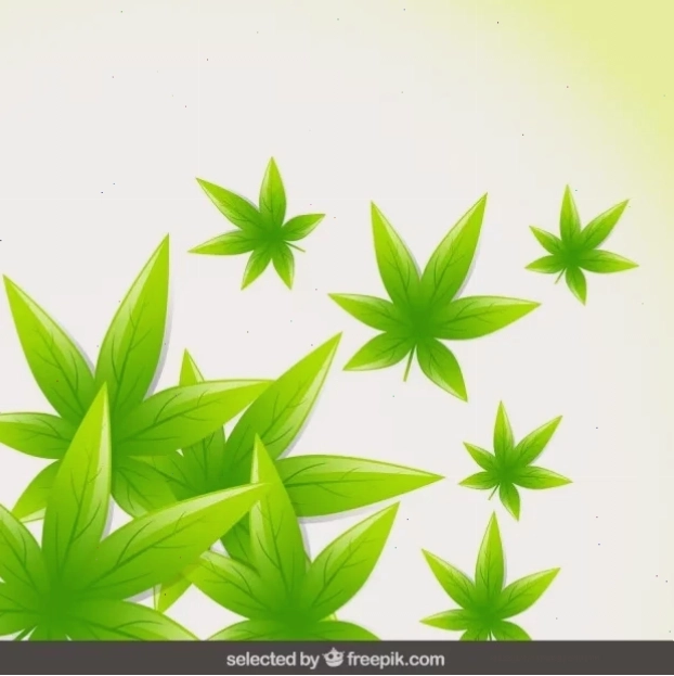 Nền tự nhiên với lá xanh tách nền