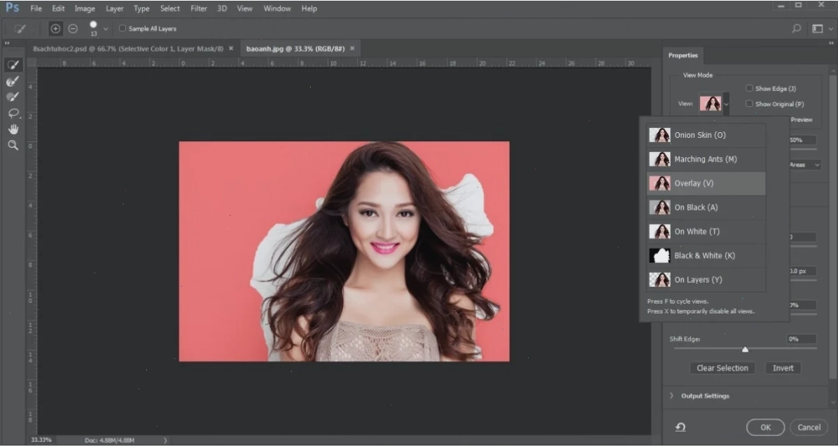 Tạo vùng chọn bằng Quick Selection Tool trong Photoshop