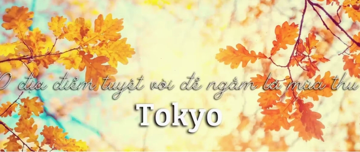 Tokyo Skytree trong khung cảnh mờ ảo của ngày mưa Tokyo Skytree nhìn từ xa với bầu trời âm u và những tòa nhà cao tầng