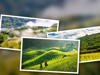Background Ruộng Bậc Thang Lúa Chín Vẻ Đẹp Hút Hồn Miền Tây Bắc