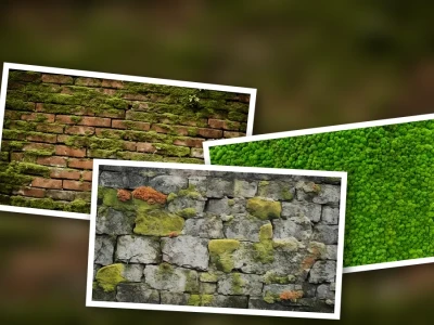 Background Tường Rêu Phong: Vẻ Đẹp Cổ Kính & Xu Hướng Độc Đáo