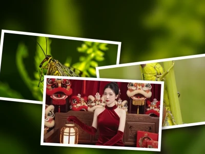 Chinh Phục prompt Chụp Ảnh Vĩ Mô Côn Trùng: Bí Mật Từ Chuyên Gia