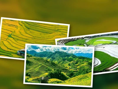 Khám phá ảnh ruộng bậc thang Sapa vẻ đẹp say đắm lòng người