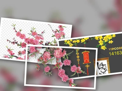 Khám phá Cành Đào Cành Mai Ngày Tết PNG Đẹp Nhất