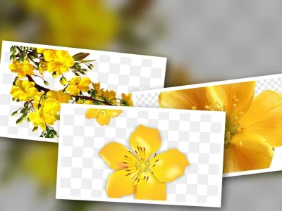 Khám Phá Hoa Mai Vàng 3D Tách Nền PNG Đẹp Cho Tết