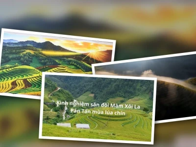 Khám phá Studio Đồi Mâm Xôi "prompt vẽ ruộng bậc thang mâm xôi"