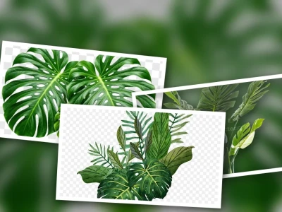 Khám Phá Sức Hút Bí Ẩn Của Lá Cây Nhiệt Đới Tách Nền