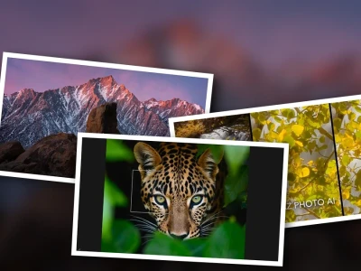 Topaz Photo AI: Giải Pháp Giảm Nhiễu Ảnh Chuyên Nghiệp